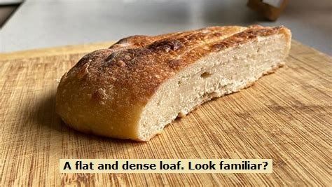 FlatSourdough.jpg