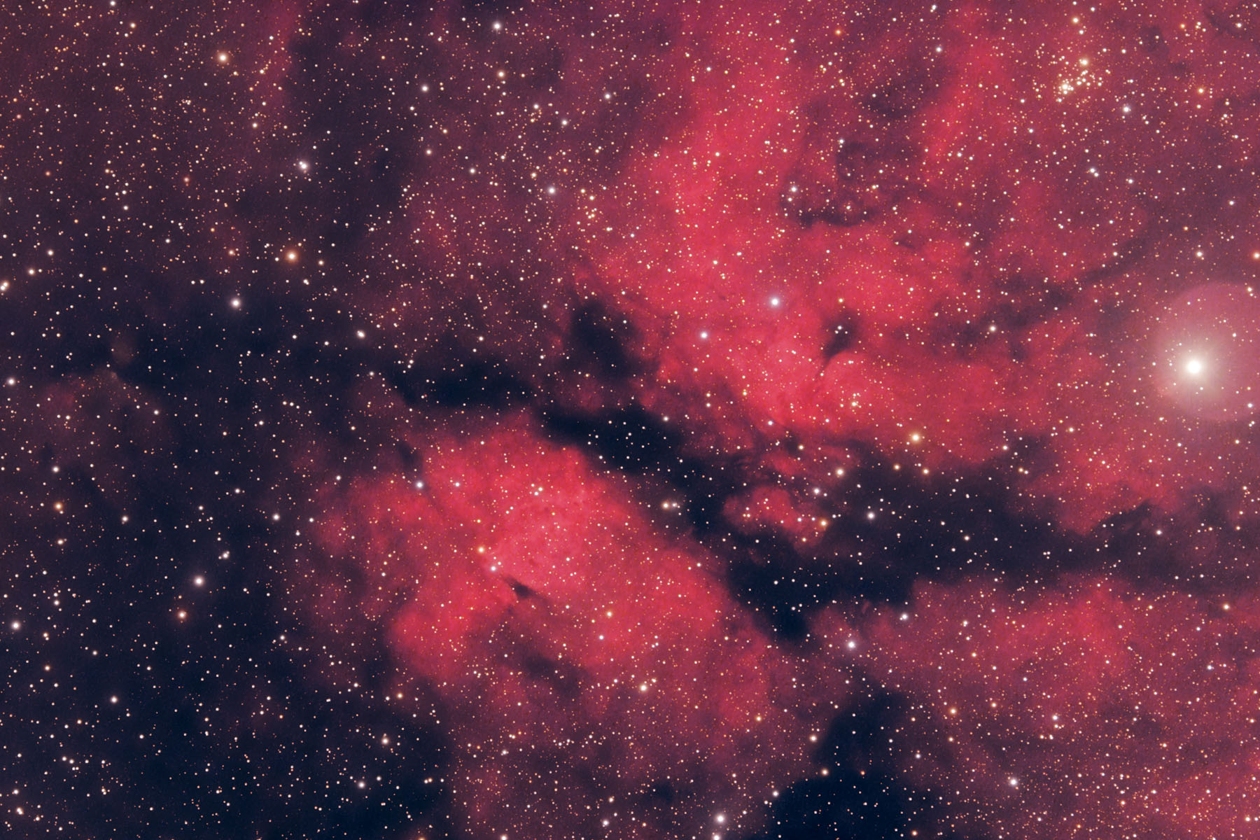IC1318 Butterfly Nebula ../CCD/IC1318.jpg