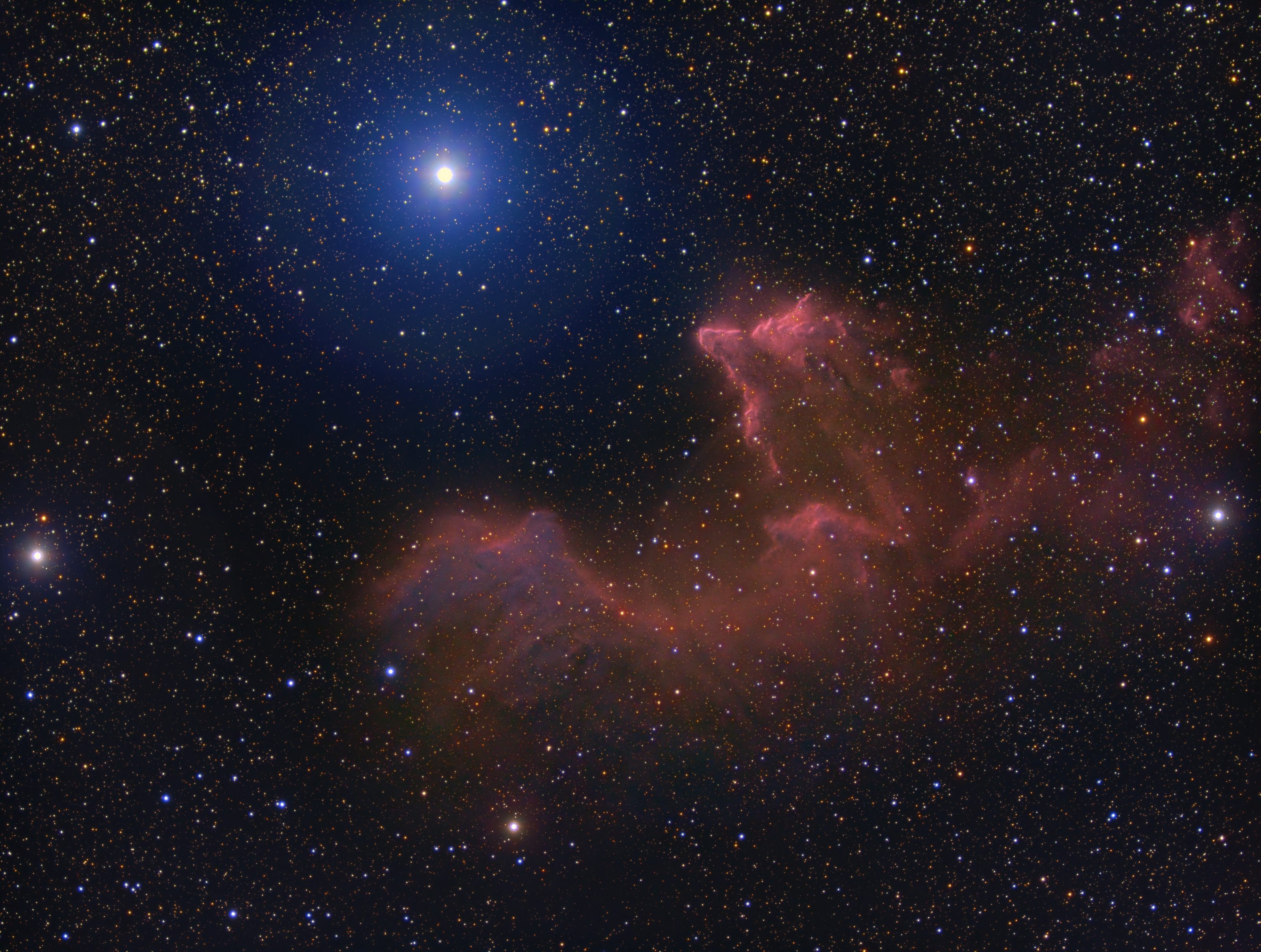 IC63 Ghost of Cassiopia Nebula ../CCD/IC63.jpg