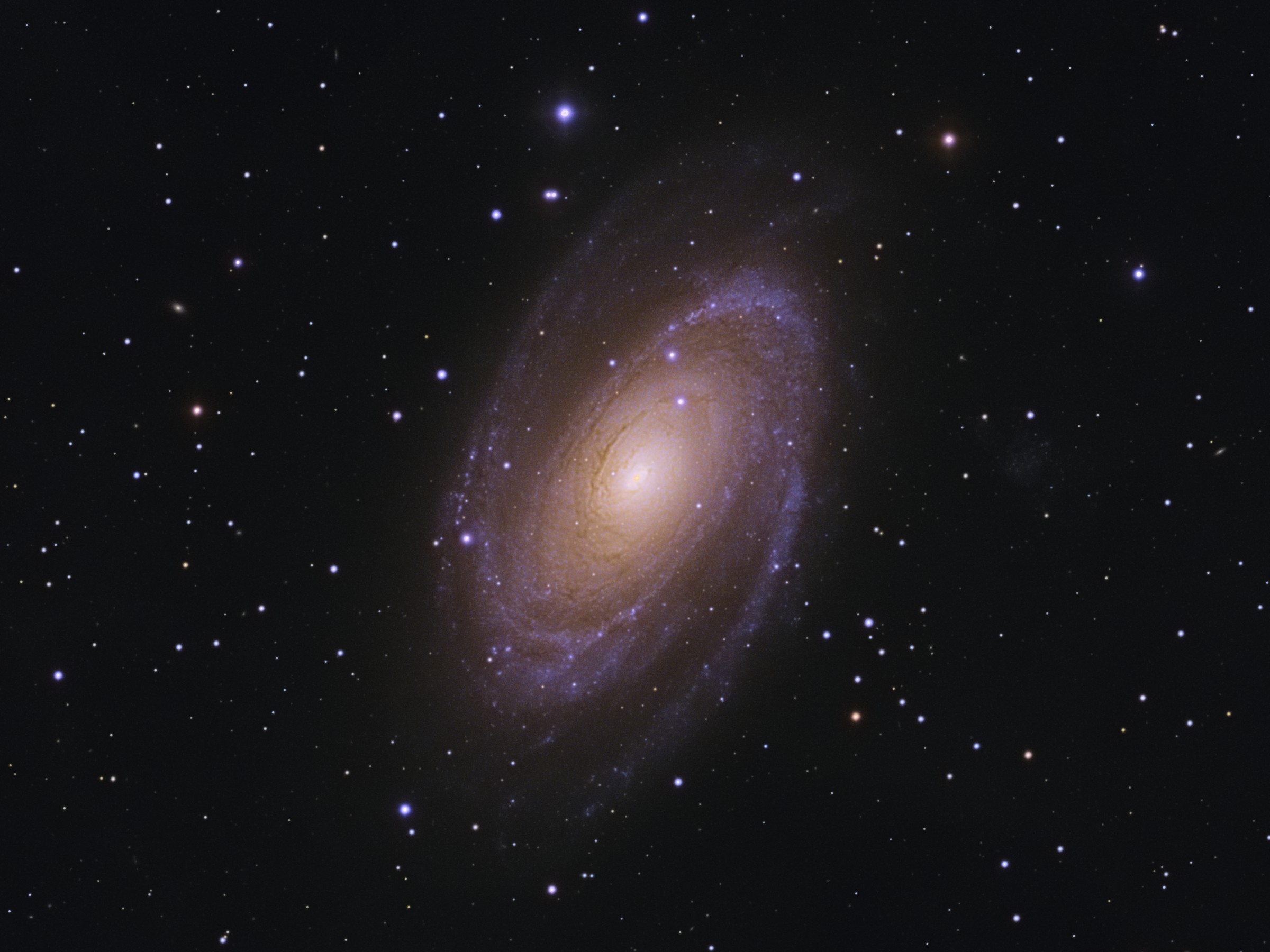 M81 Bode's Galaxy ../CCD/M81.jpg