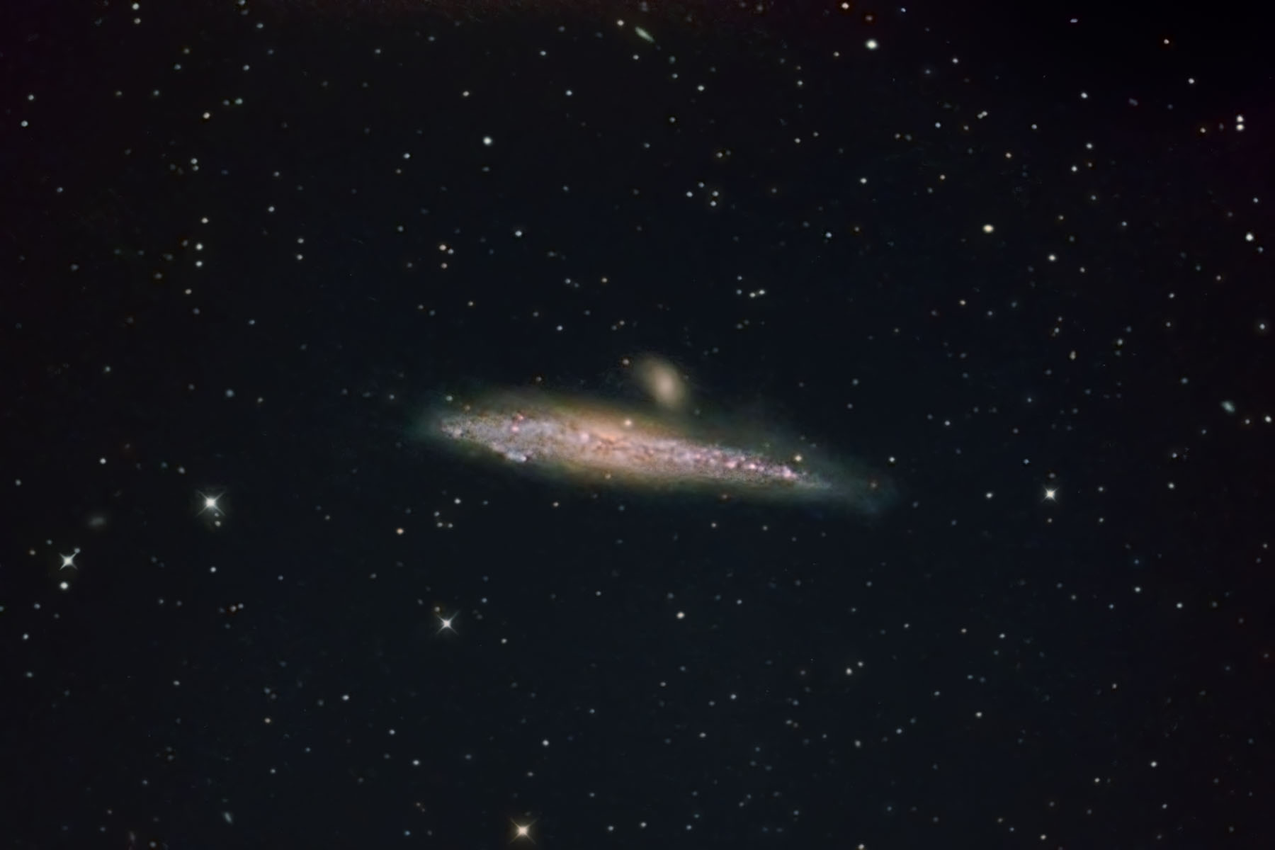 NGC4631 Whale Galaxy ../CCD/NGC4631.jpg