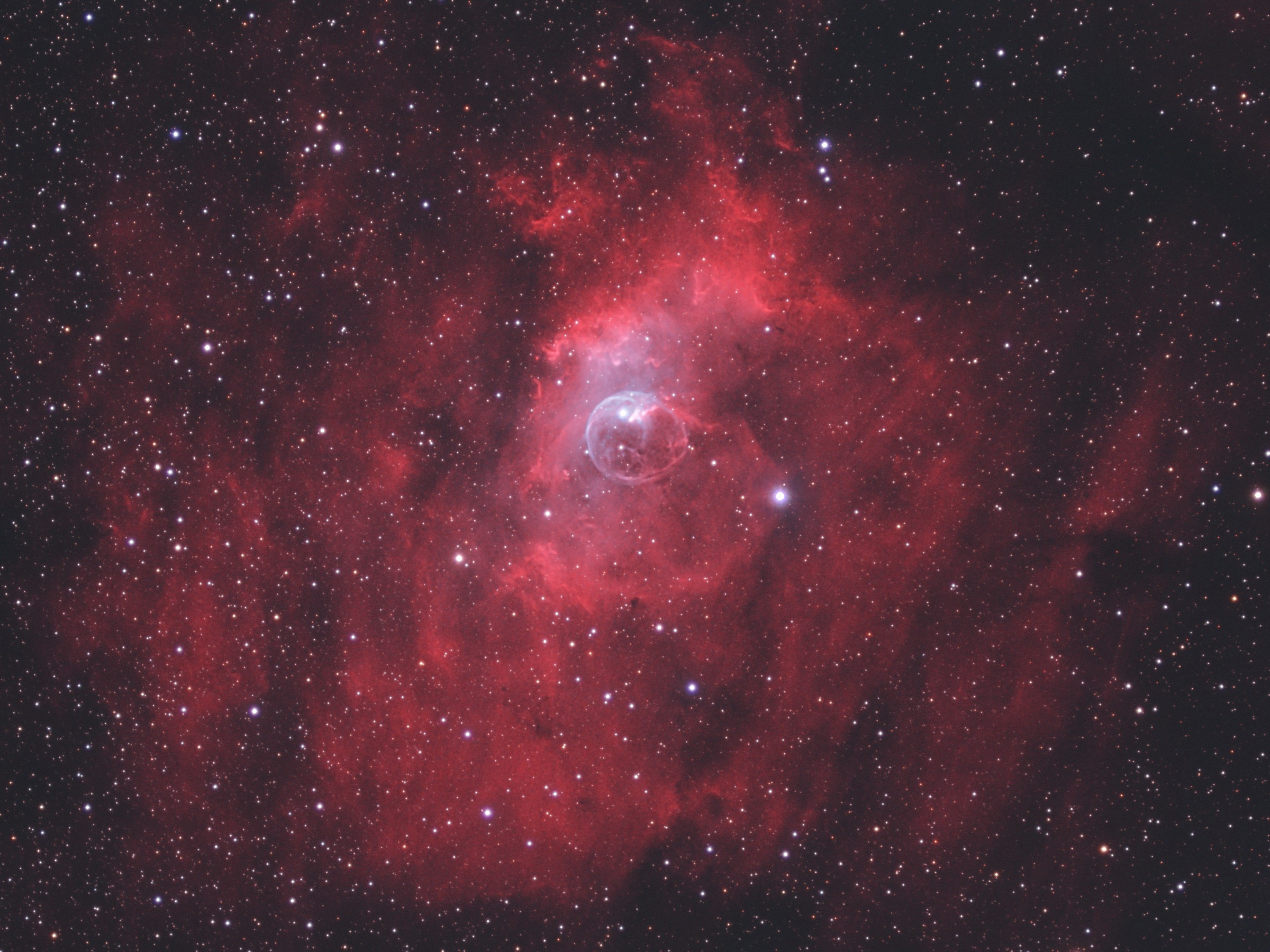 ../CCD/NGC7635.jpg