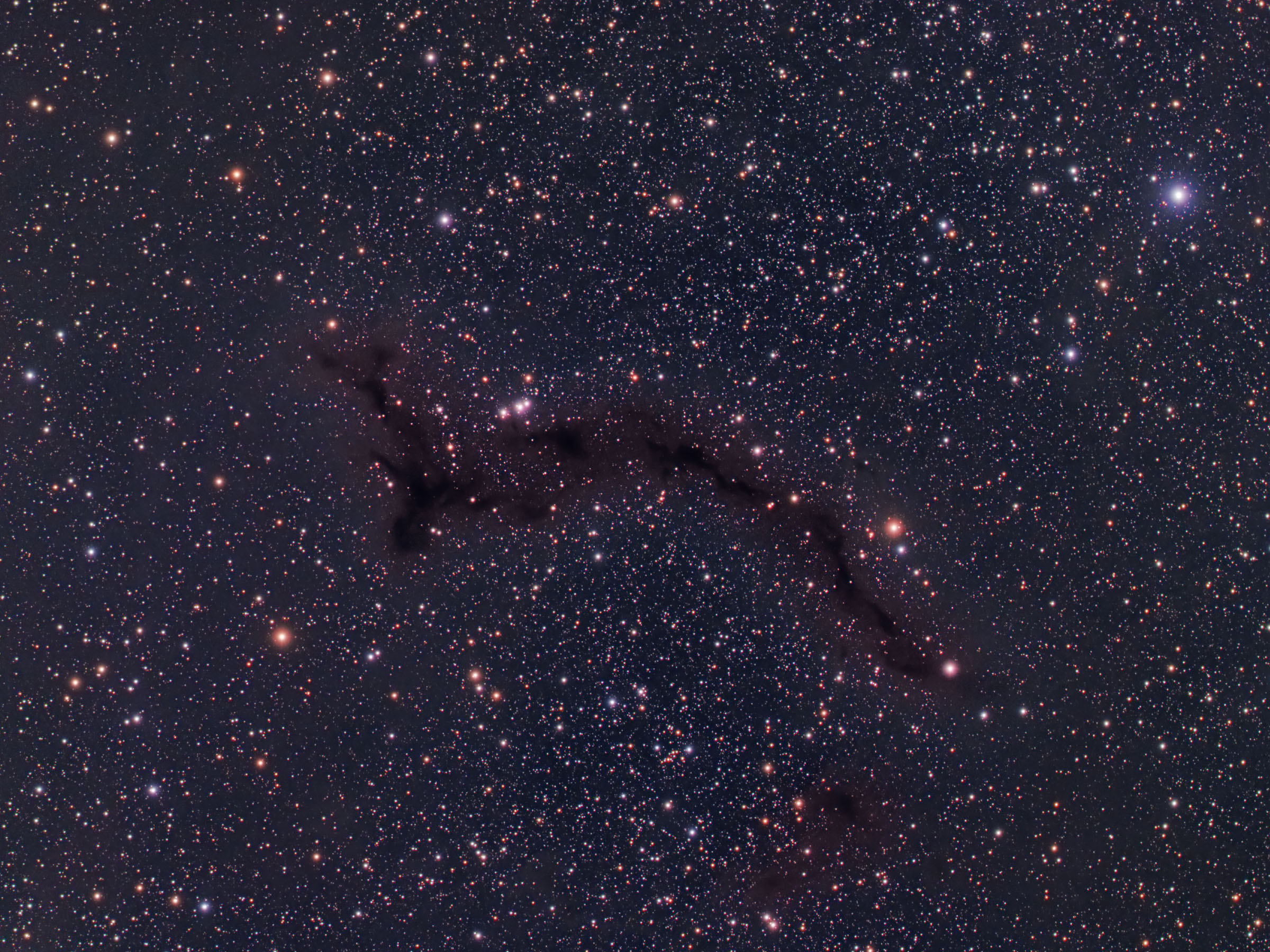 B150 "Seahorse" Dark Nebula ../CCD/b150.jpg