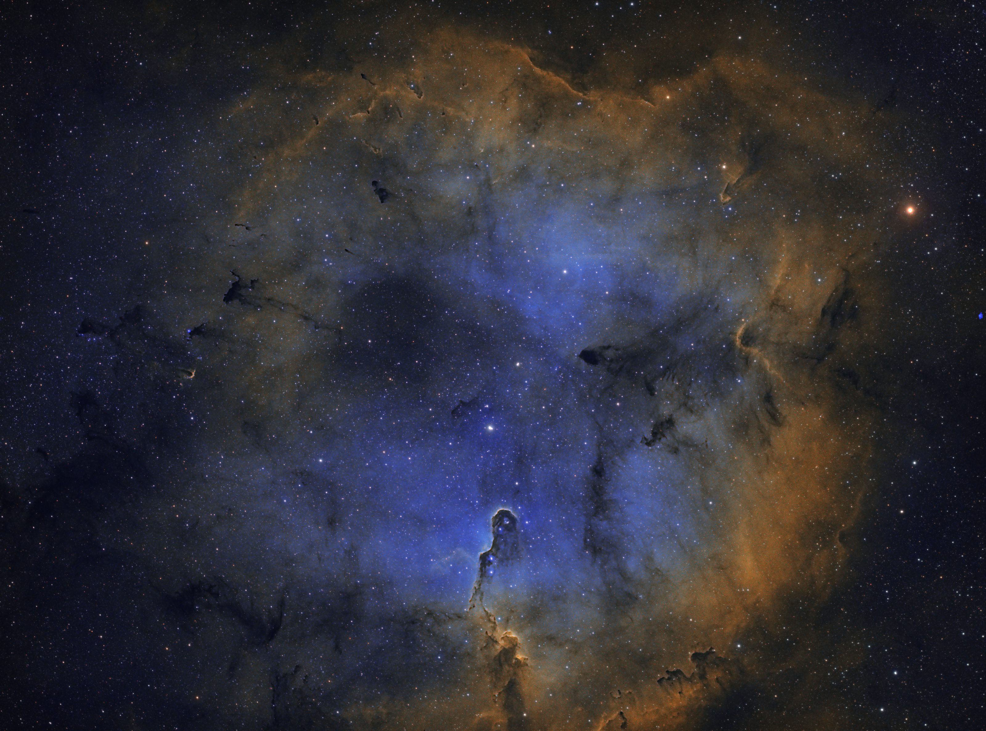 ../CCD/ic1396.jpg