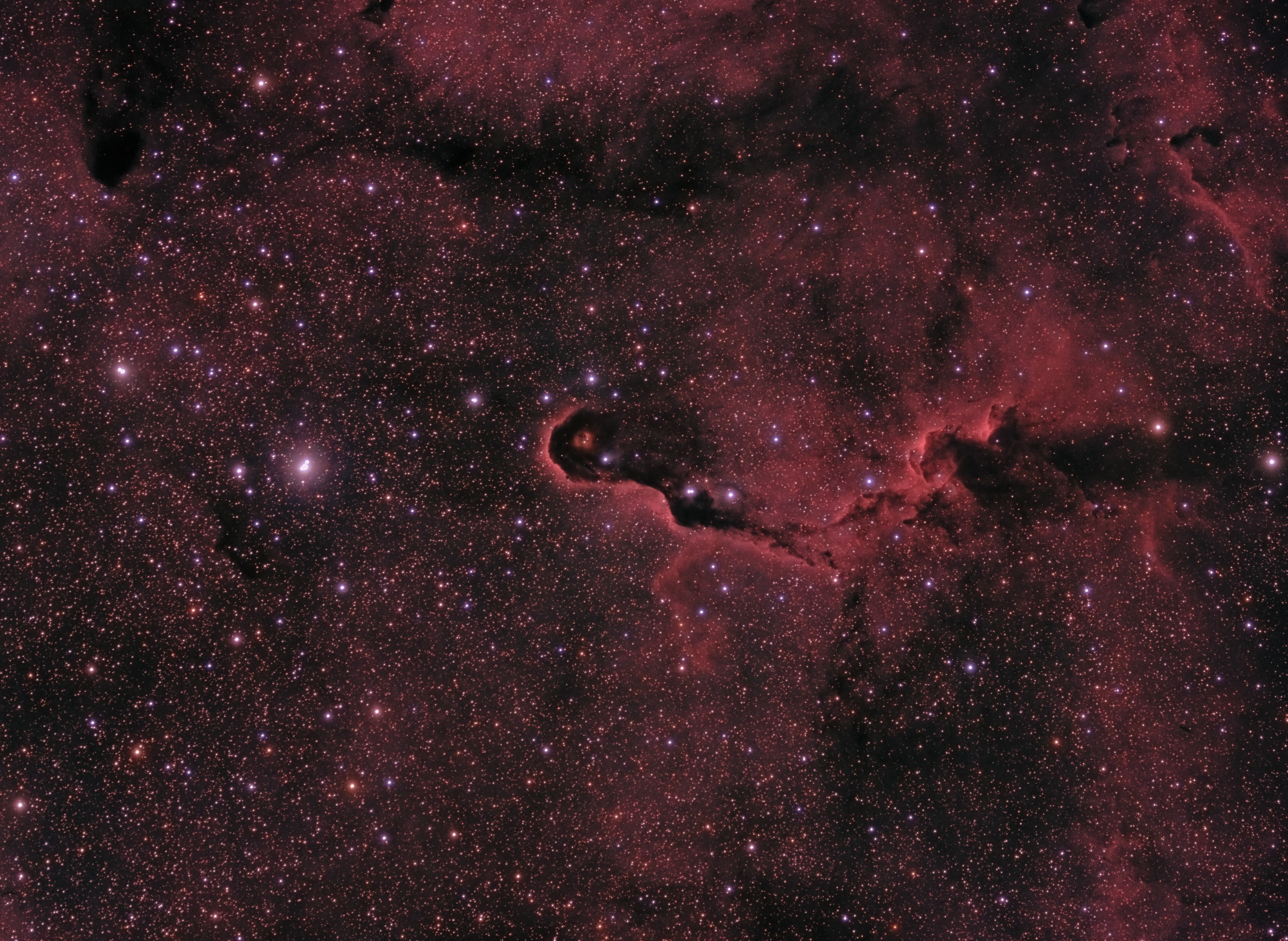 ../CCD/ic1396a.jpg