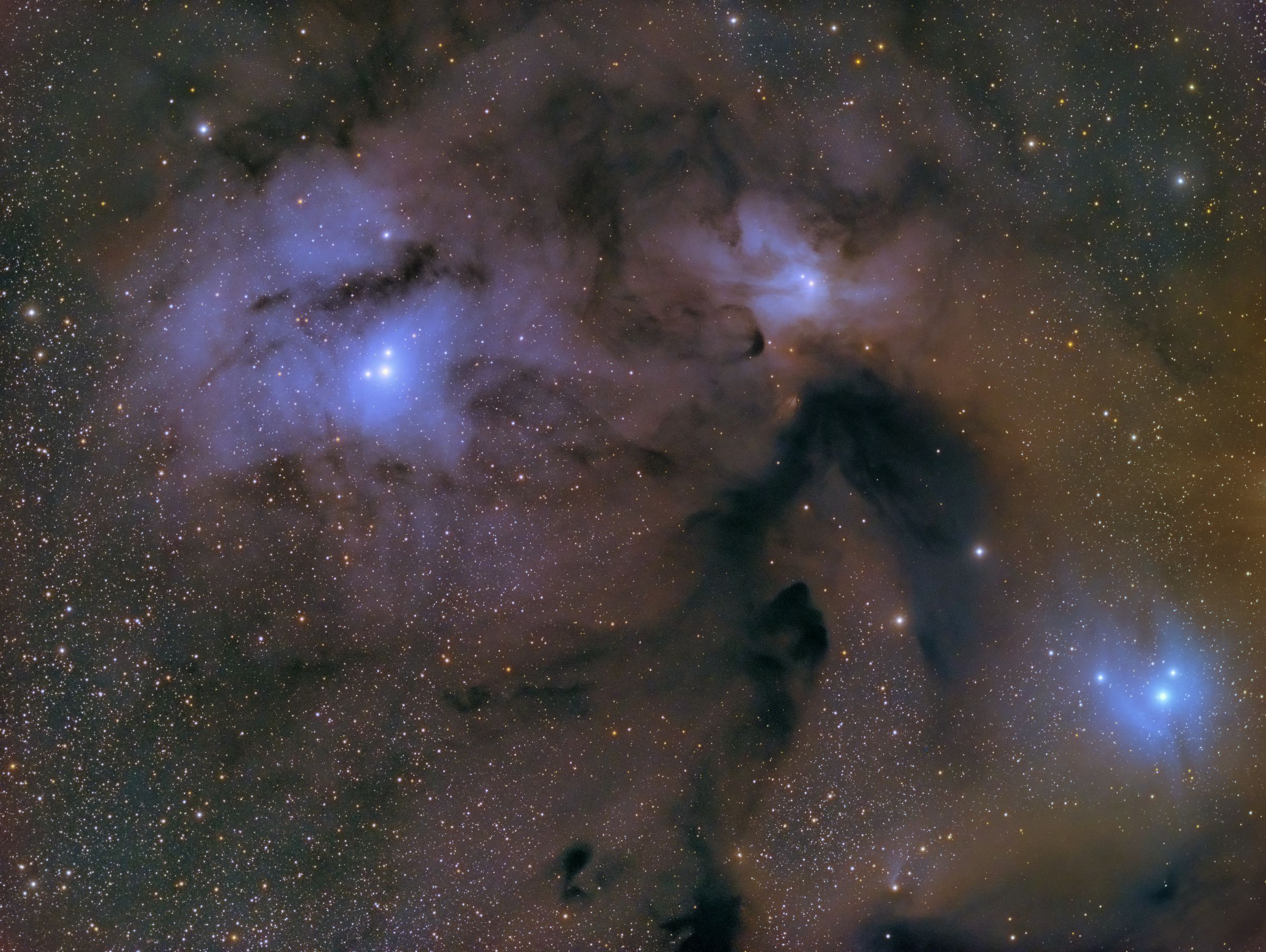 IC4604, IC4603 and IC4605, the "Rho Bros" ../CCD/ic4604.jpg