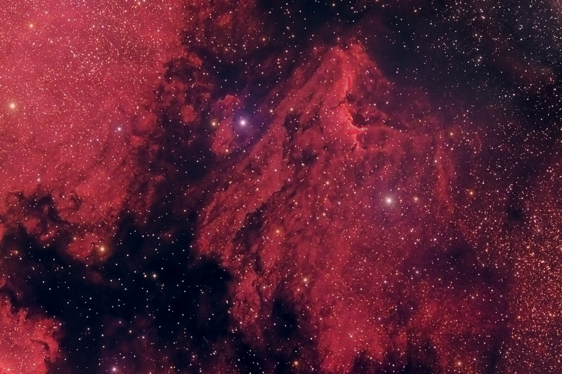 IC5070 Pelican Nebula ../CCD/ic5070.jpg