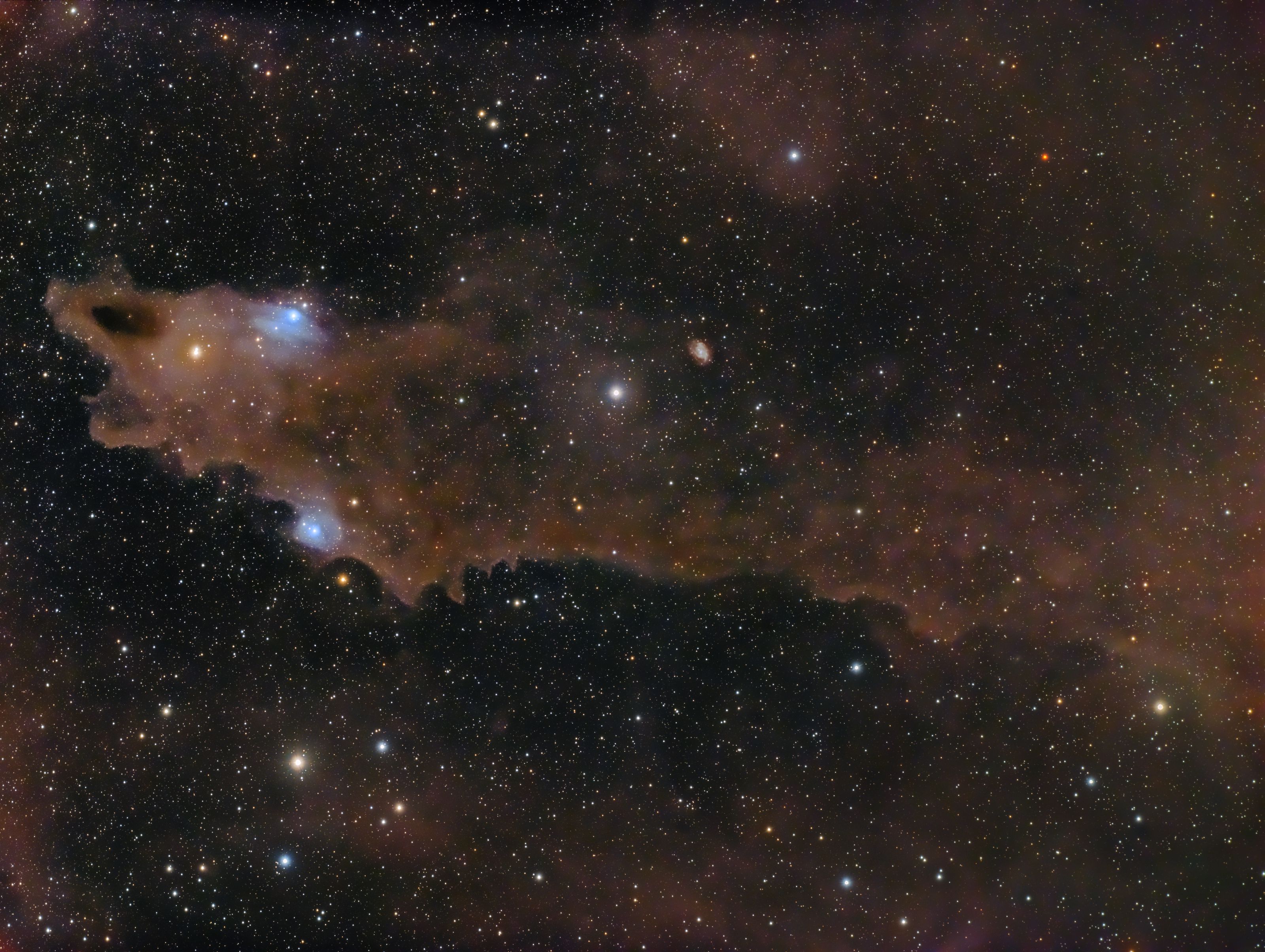 LDN1235 Shark Nebula ../CCD/lnd1235.jpg