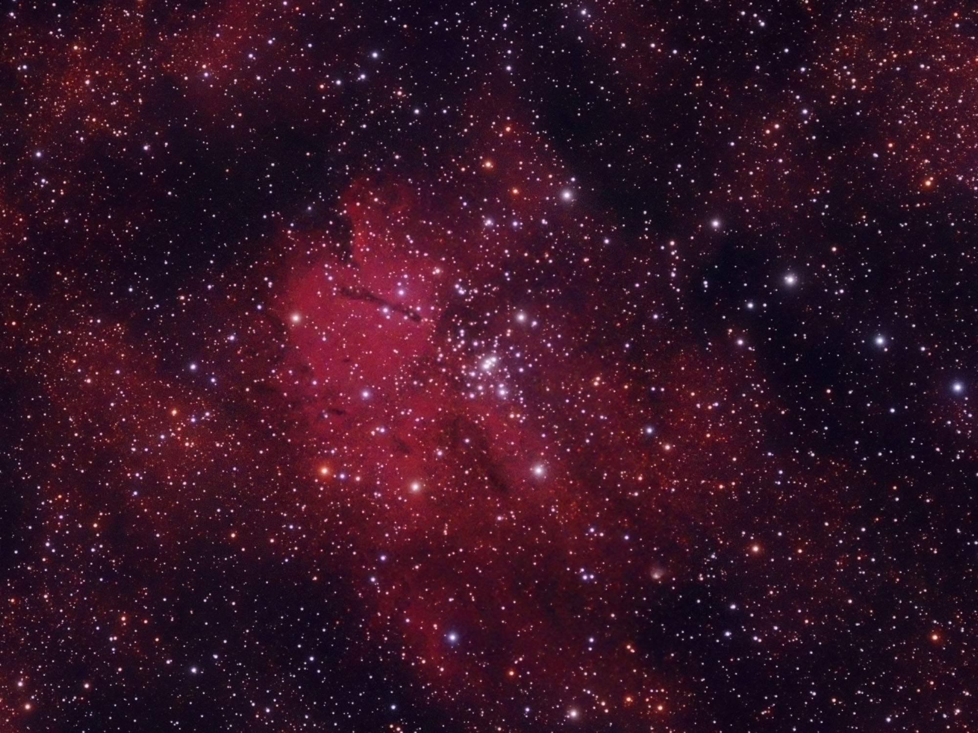 NGC6820 Nebula ../CCD/n6820.jpg