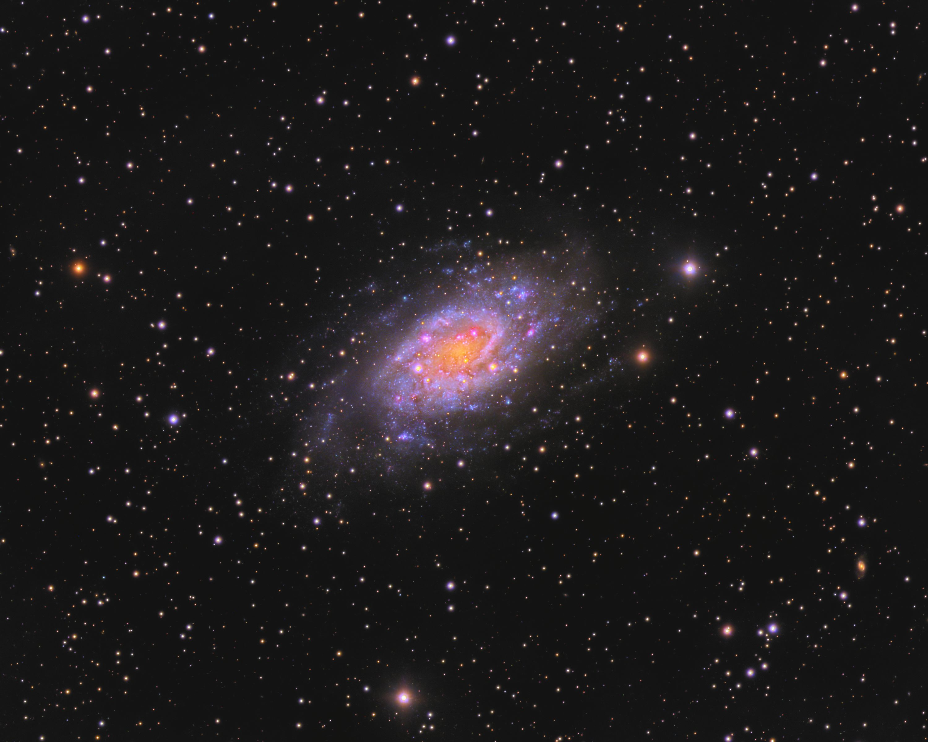 NGC2403 Galaxy ../CCD/ngc2403.jpg