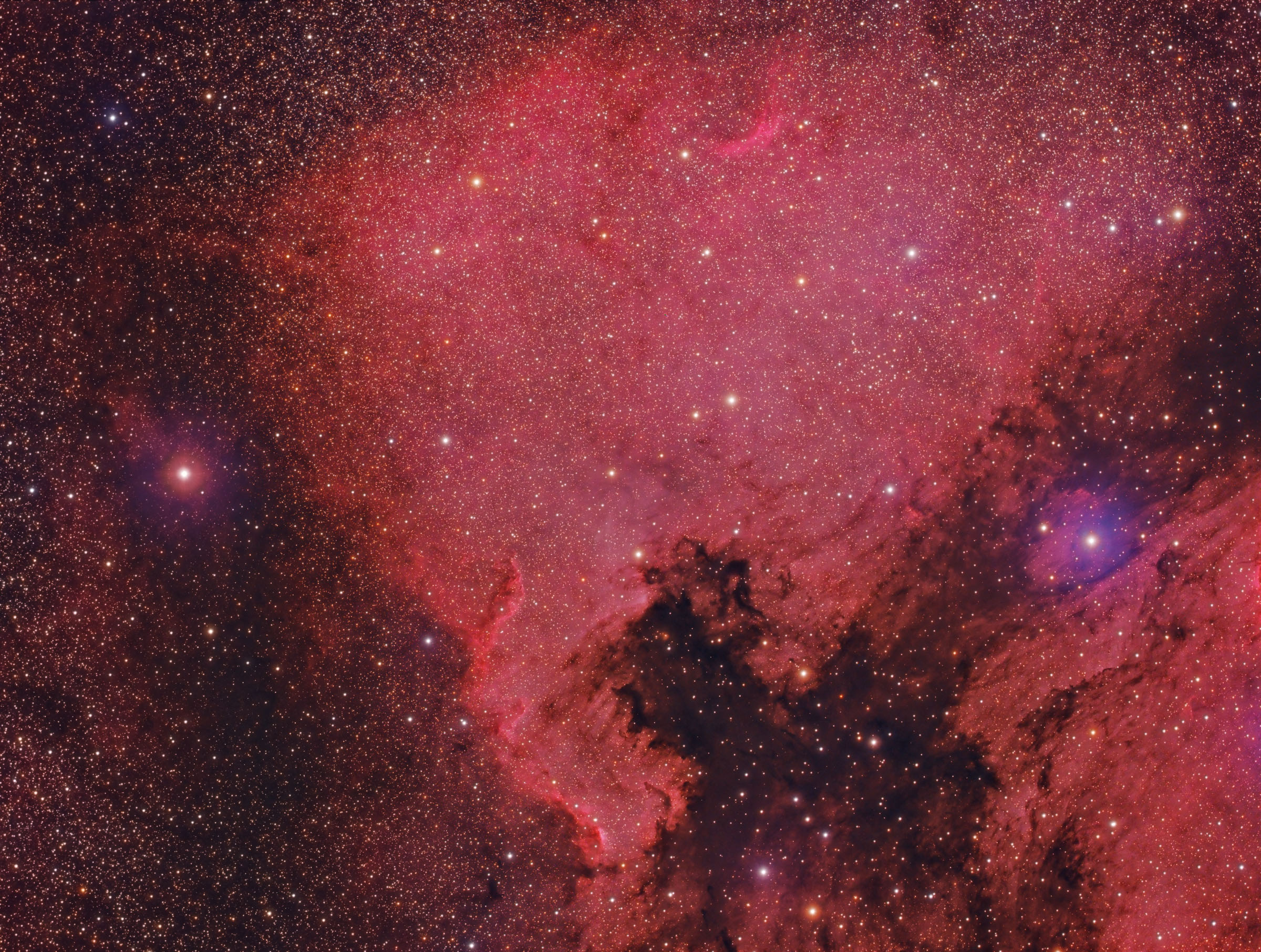 ../CCD/ngc7000.jpg