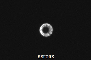 Primary Collimation Example Pics/Donut.gif