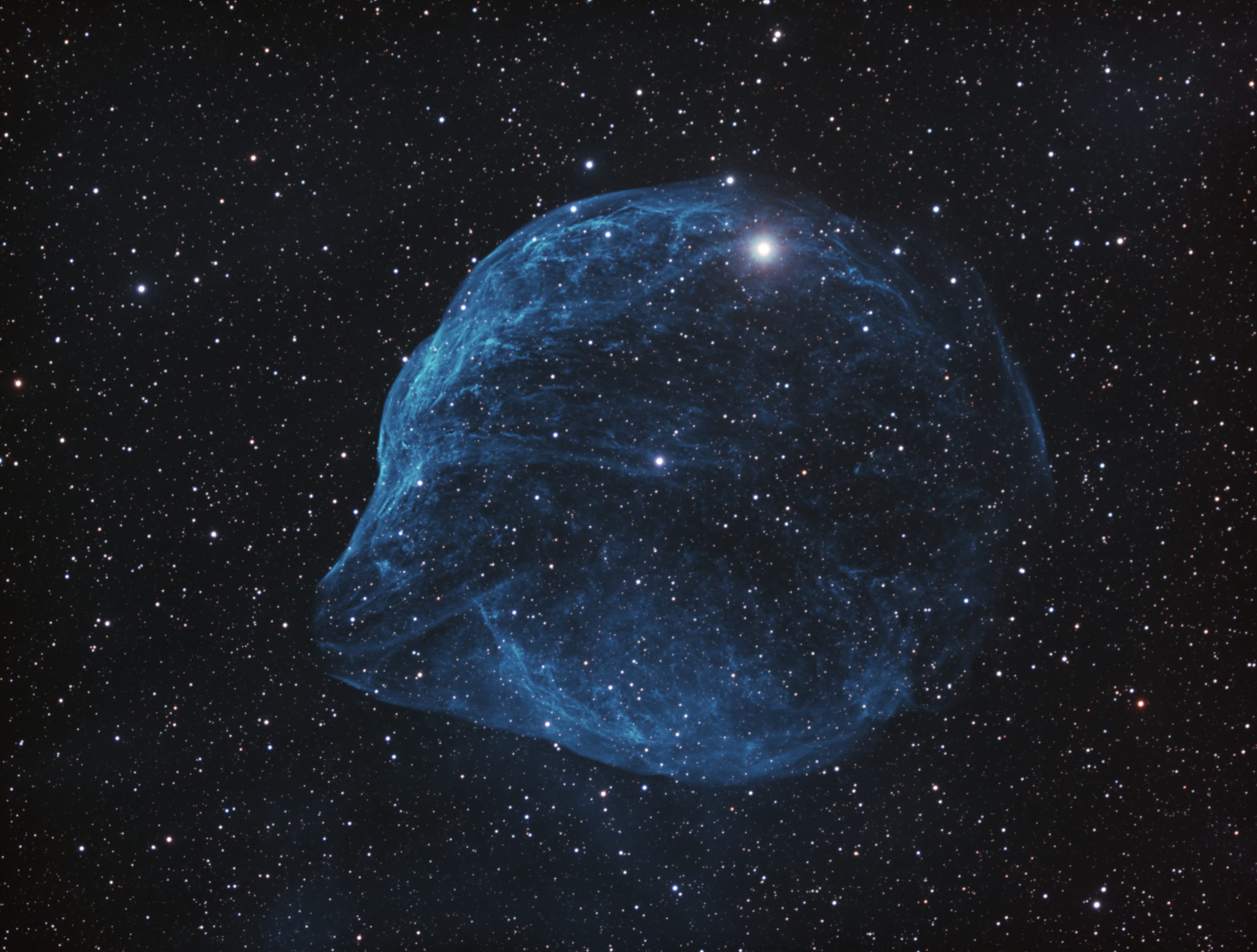 SH2-308 Blue Dolphin Nebula ../CCD/sh2_308.jpg